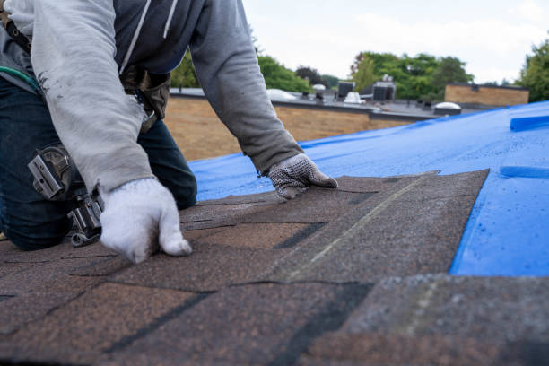 Best Roof Replacement Cost  in Ansonia, OH